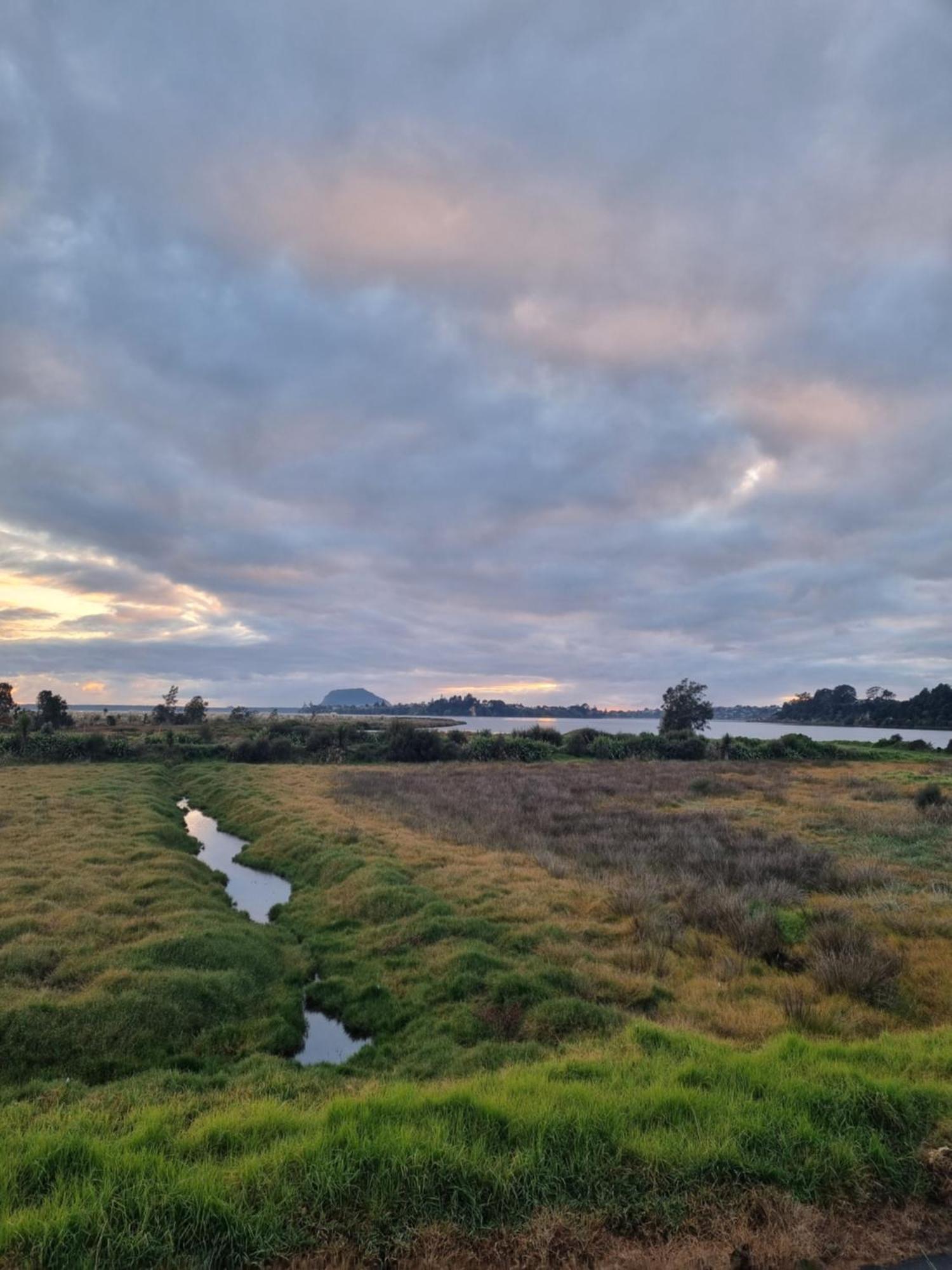 Bach22 Rustic Romantic Getaway Te Puna Extérieur photo